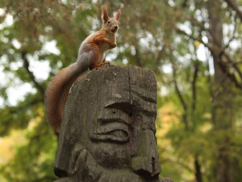 Парк «Танаис» ищет родственников автора «Поляны сказок» в Воронеже