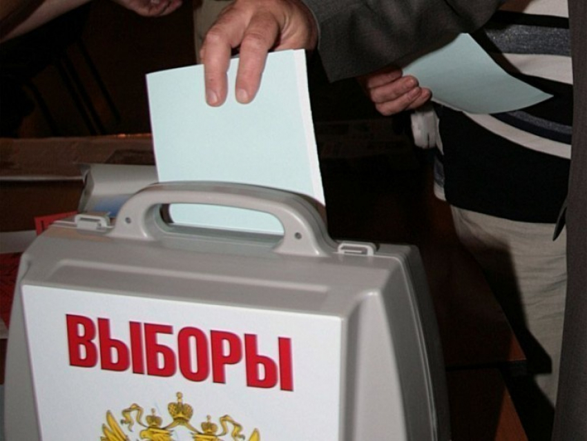 В Воронеже за полчаса до окончания выборов на участки пришло 22,11% избирателей
