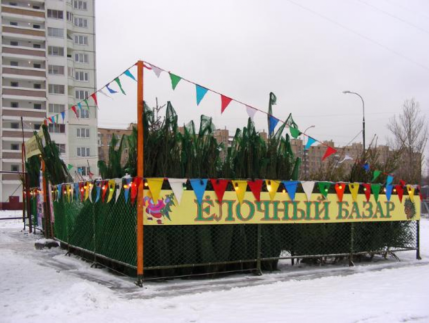 В Воронеже с 19 декабря начнут работать елочные базары