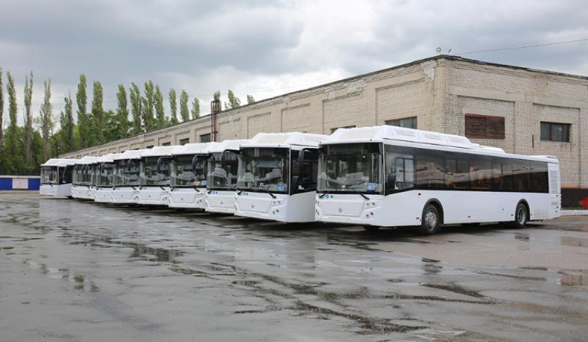 Новые автобусы запустят в воронежские микрорайоны 