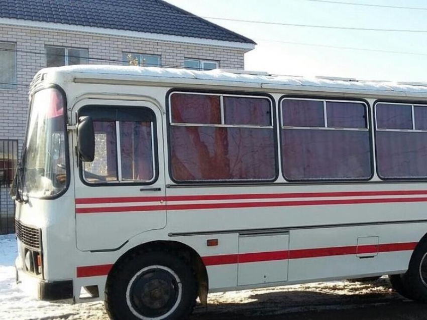 Два популярных автобуса вновь изменят маршрут в Воронеже 