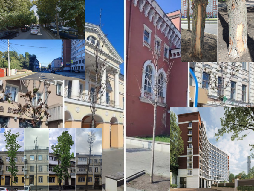 Итоги 2025 года в экологии, благоустройстве и застройке Воронежа