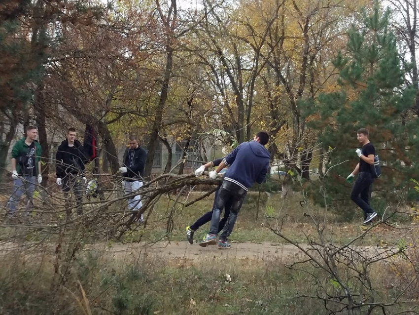 В рамках акции «Чистый лес» в Воронежской области уберут валежник и мусор