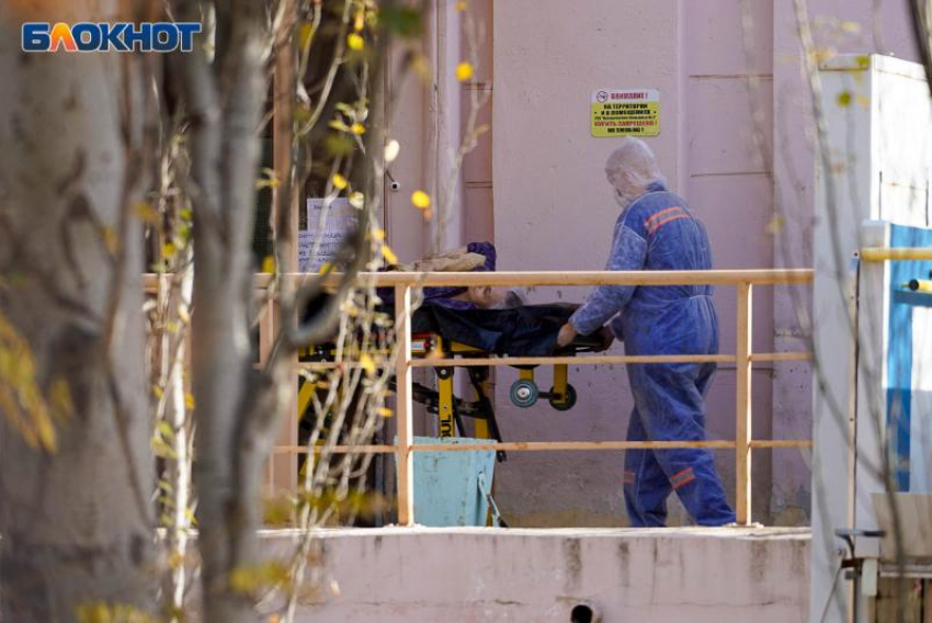 Двух людей госпитализировали из очага сибирской язвы в Воронежской области