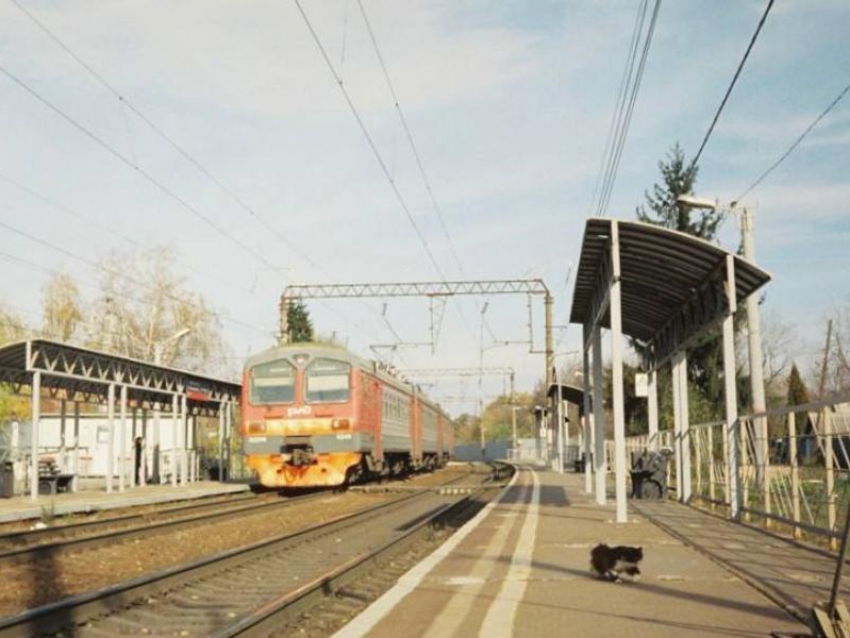 «Нас поставили перед фактом»: жители Воронежской области требуют вернуть отмененные электрички