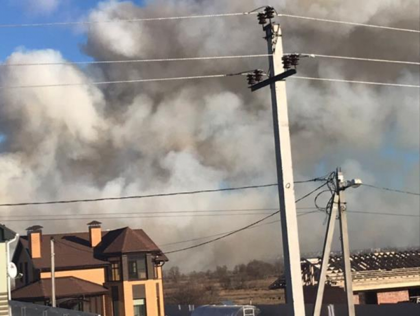 Под Воронежем полыхает 800 кв метров сухой травы
