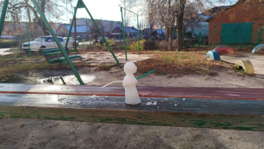 Первого снеговика заметили в Воронеже