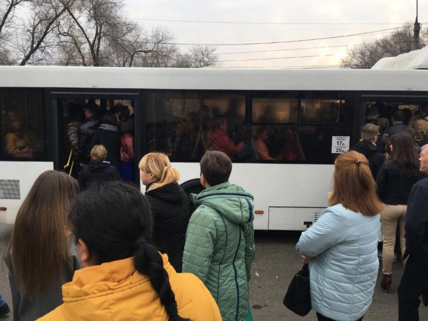 В Воронеже начнут вновь ходить сезонные автобусы