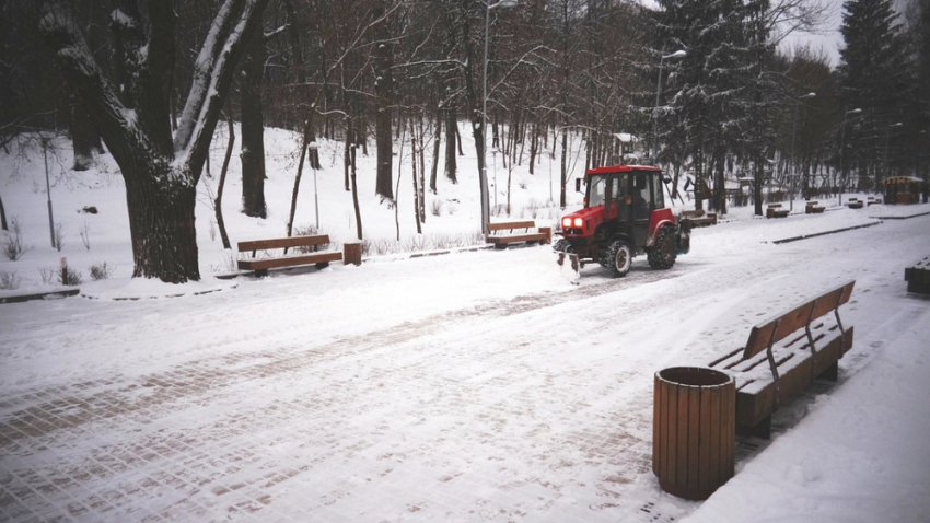 В Воронеже запретят парковаться у Центрального парка 