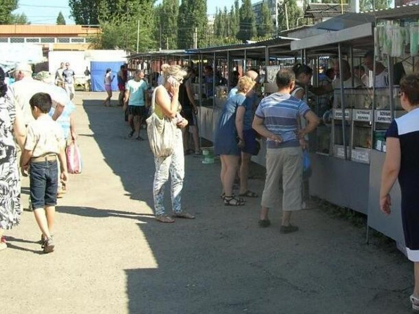 На месте Птичьего рынка в Воронеже построят огромный торговый центр