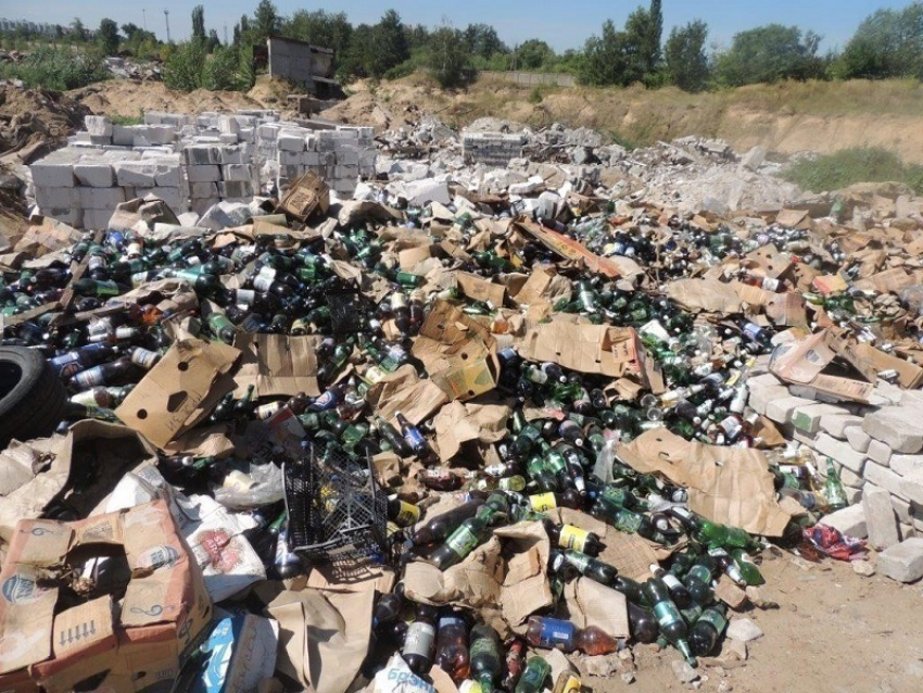 Организация «В защиту Черноземья» бьет тревогу по поводу воронежского Голубого озера