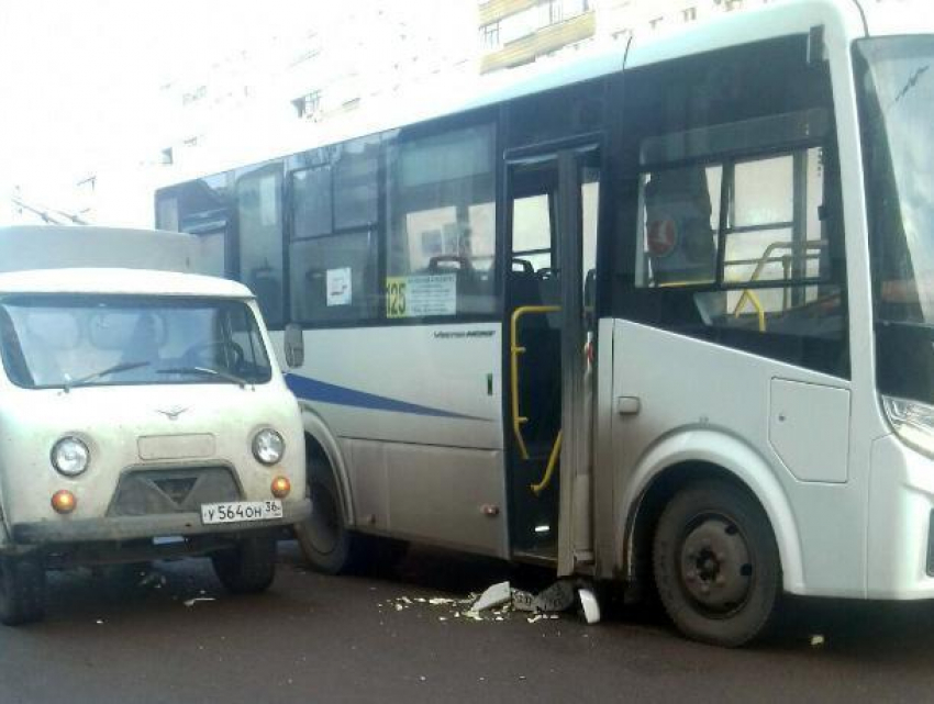 В Воронеже «головастик» не успел отпрыгнуть от маршрутки