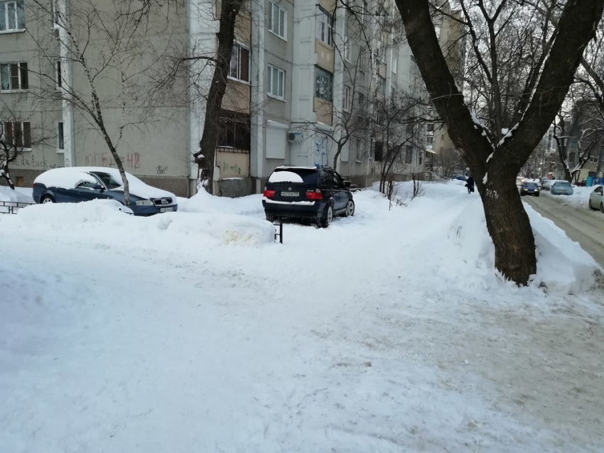 Московский мажор на BMW разъярил воронежцев парковкой 