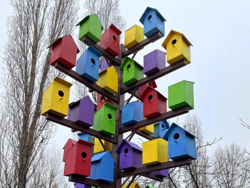 Цветастую «общагу» для перелетных птиц установили в Коминтерновском районе Воронежа