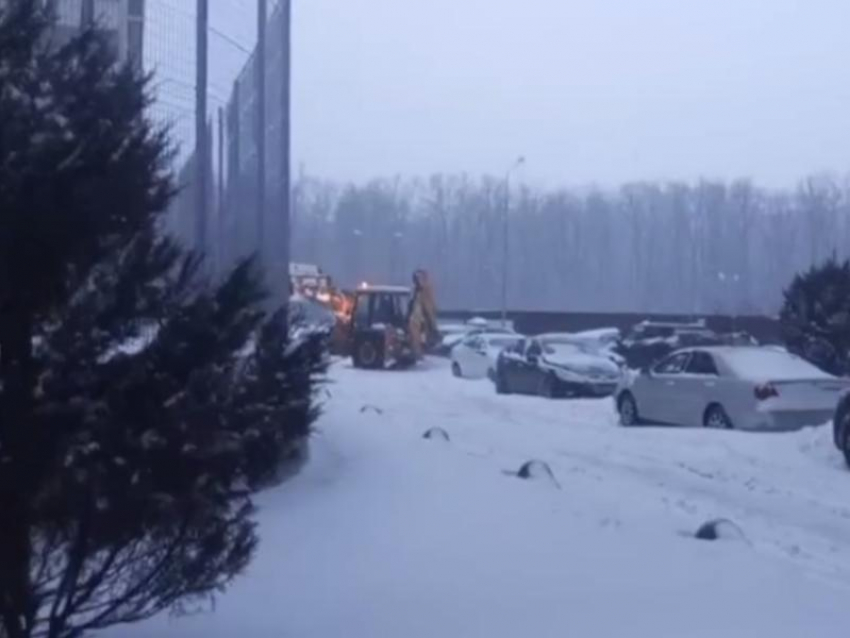  Большой петушок работает: воронежцы взялись за лопаты по совету депутата Сысоева