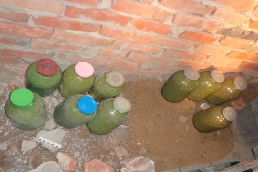 В Воронежской области у преступной группы изъяли 9 килограммов марихуаны