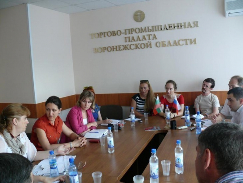 В Воронеже на круглом столе обсудили поправку в закон о СМИ о недопустимости матерных выражений