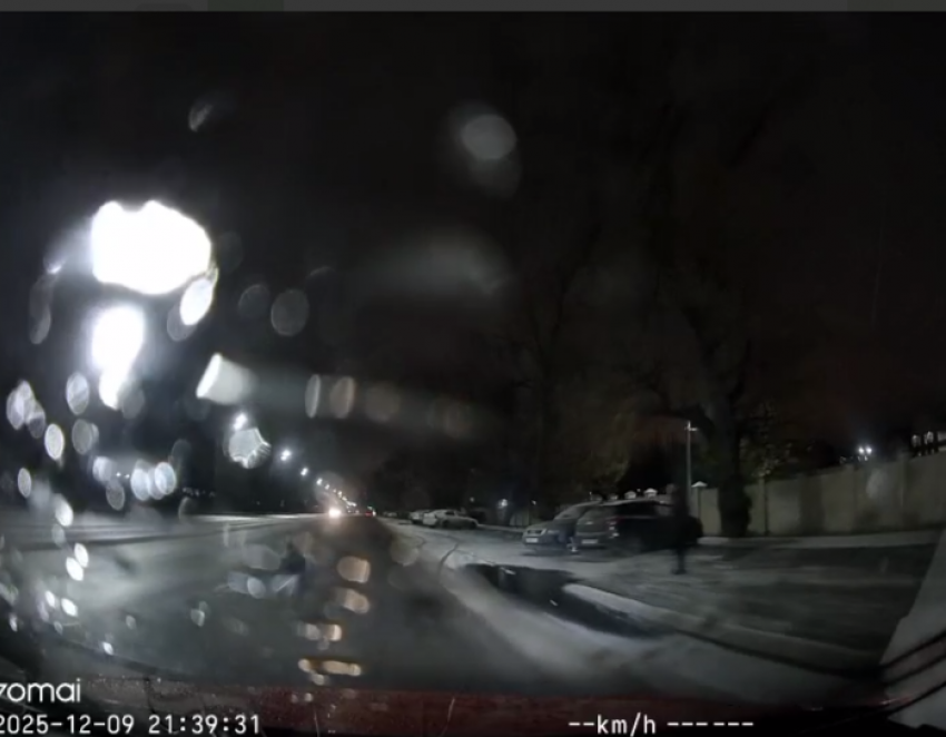 Пес едва не попал под колеса машины в Воронеже