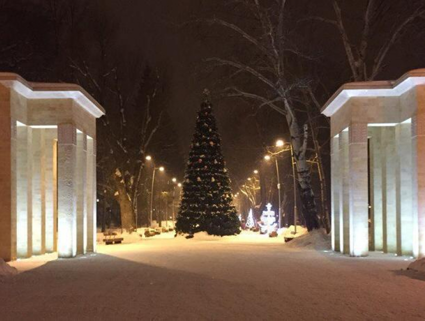 Воронежцам рассказали, когда в парках торжественно откроют новогодние елки