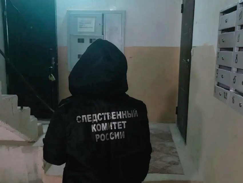 Мужчина убил сожительницу из-за ревности в Воронежской области
