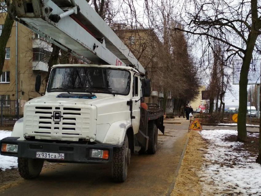  Вырубку деревьев на воронежской улице оправдали чиновники