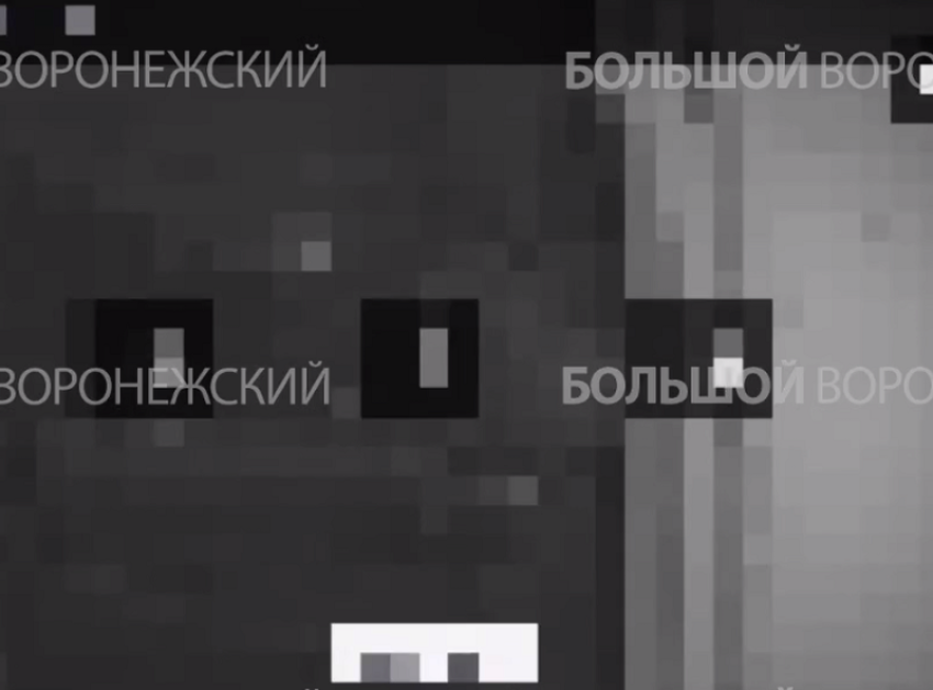 Момент взрыва беспилотника в Воронеже попал на видео 