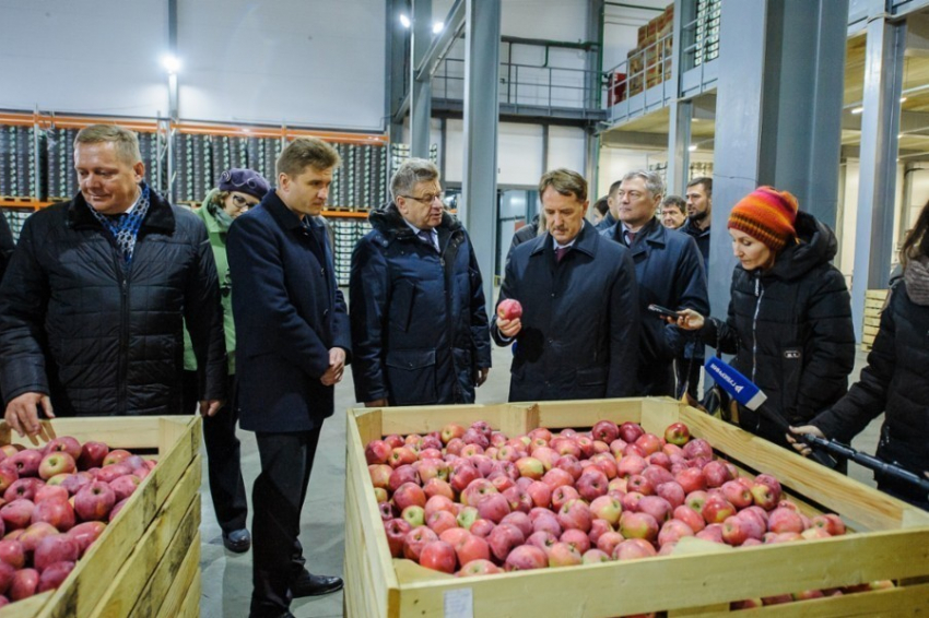 Под Воронежем сын «острогожского помещика» показал Гордееву свое фруктохранилище