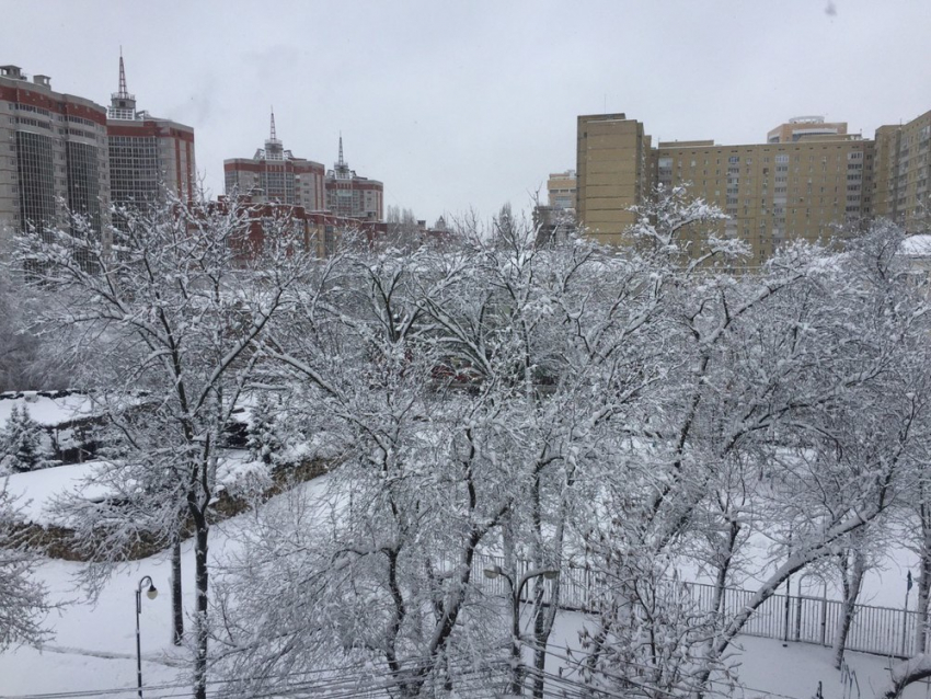 Стало известно, когда в Воронеже закончится снегопад 