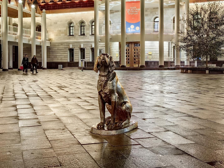 Любимец воронежцев «Белый Бим» получит подсветку после обращений активистов