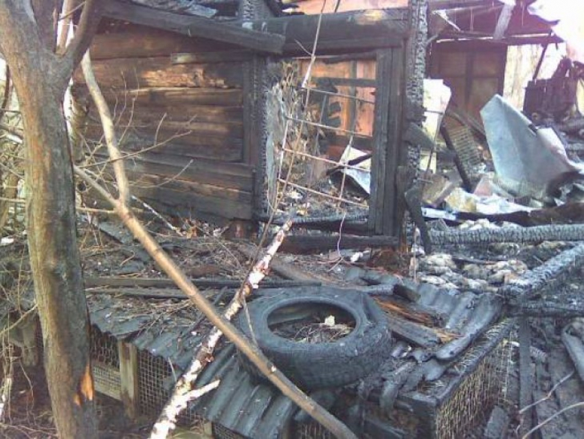 В Воронеже злоумышленники подожгли гараж с иномаркой