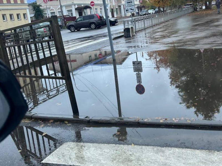 О многолетней луже неподалеку от зоопарка рассказали воронежцы