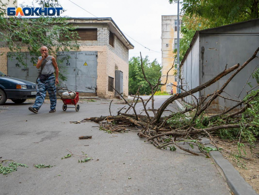 Синоптики предупредили об опасной погоде в Воронеже