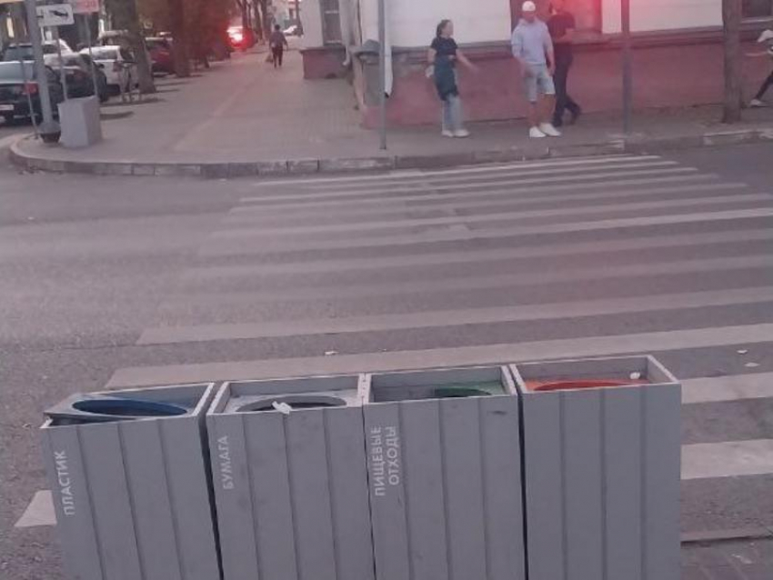 Перейти дорогу в мусорку предложили воронежцам