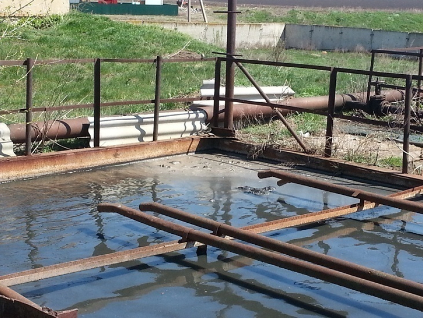 Воронежские эко-активисты бьют тревогу: «Природу Новохоперска отравляют»