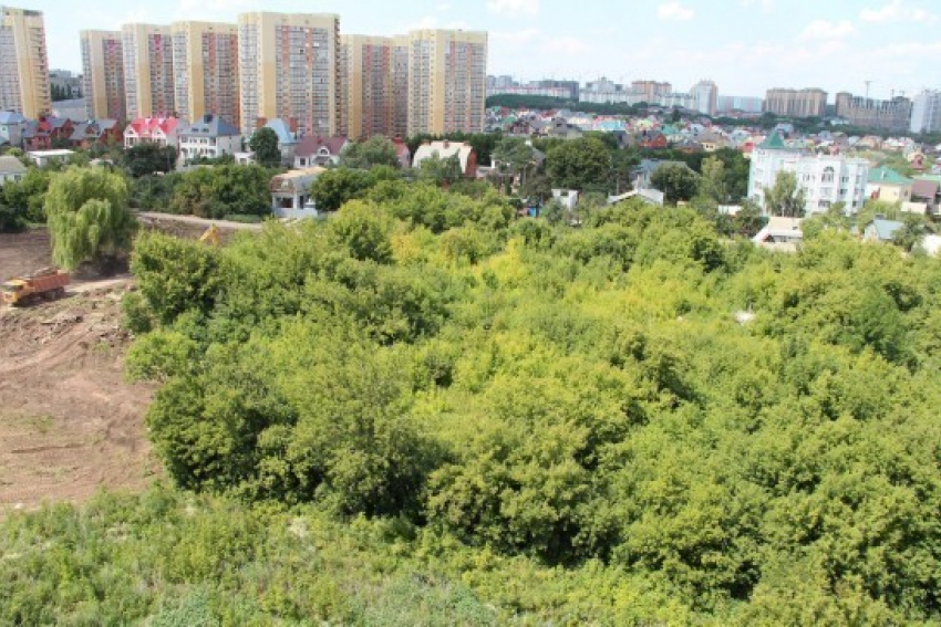 От “Динамо” потихоньку “откусывают” кусочки