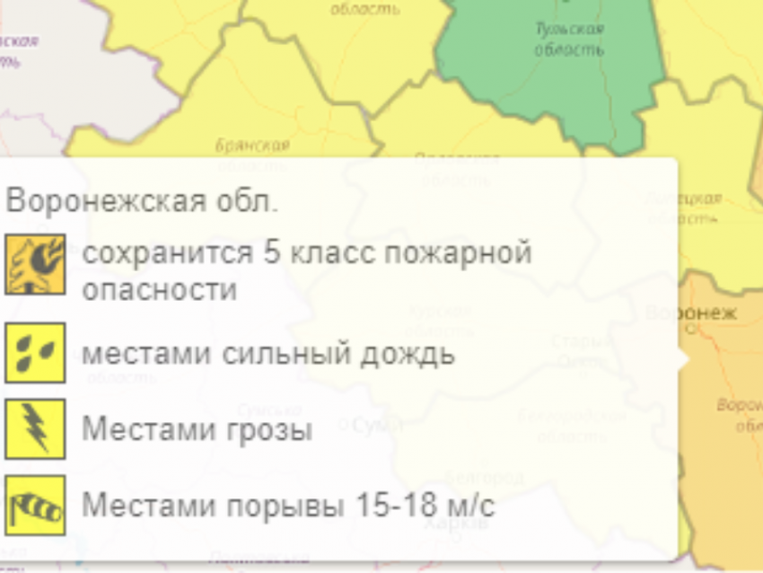 Опасная погода принесла в Воронежскую область оранжевый уровень 