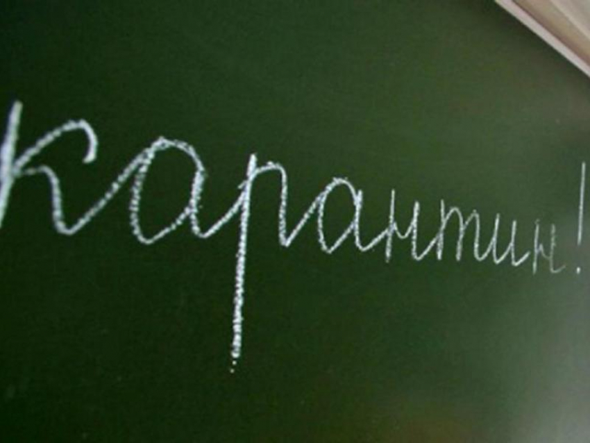 Девять школ Воронежа частично закрыли на карантин