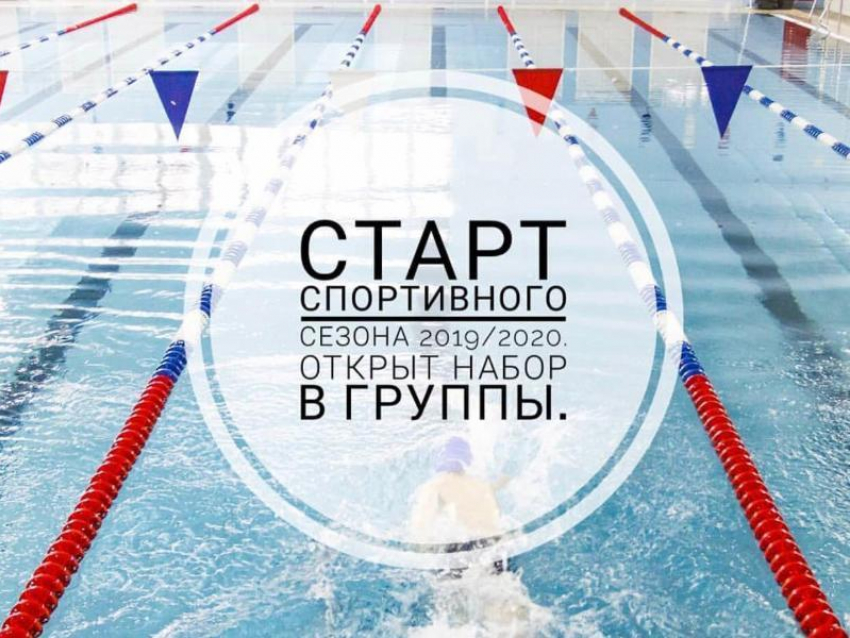 Начать учебный год с «Дельфином» предложили воронежским школьникам