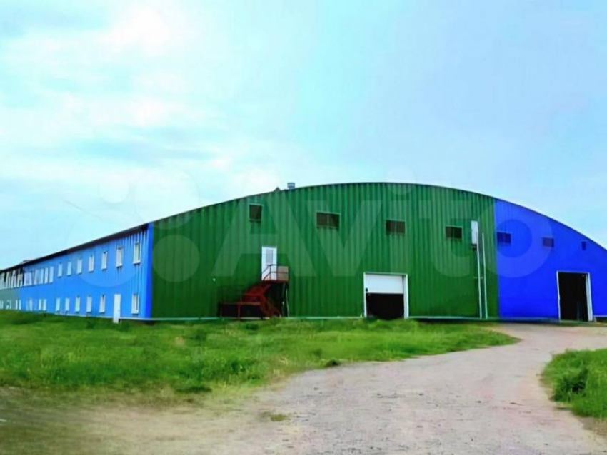 Ангар под производство продают за 235 млн в Воронежской области