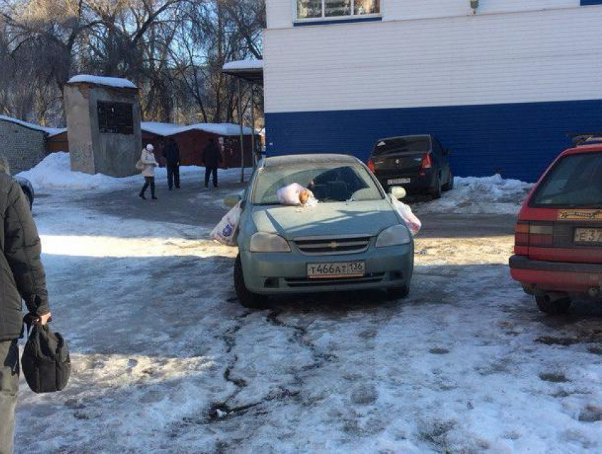 В Воронеже мастеру парковки надели мусорные «серьги»