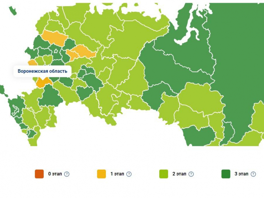 Ковидная десятка: как выглядит Воронежская область на коронавирусной карте России