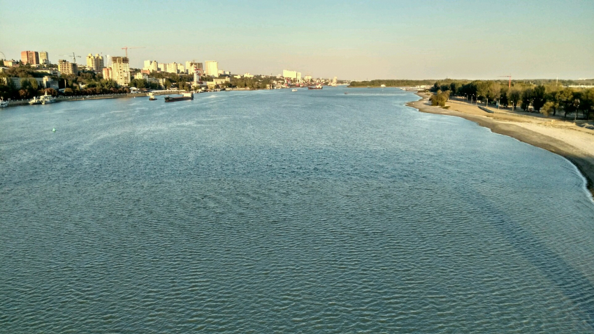 Женщина утонула при попытке спасти любимую собаку в Воронежской области