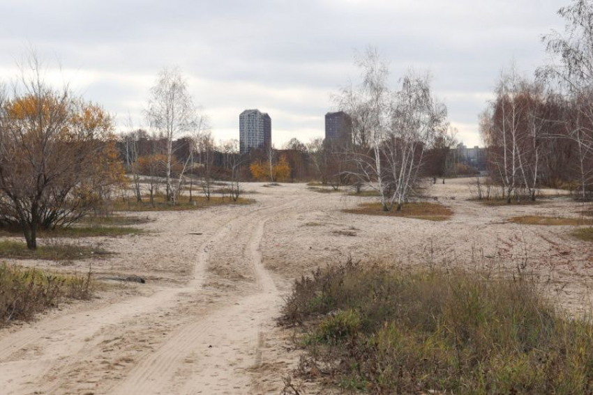 Прогулочная зона появится на левобережной набережной Воронежа