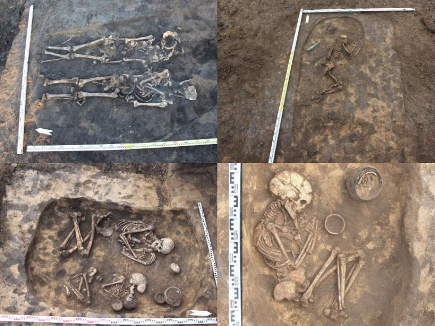 Около 30 доисторических захоронений обнаружили археологи в Воронежской области
