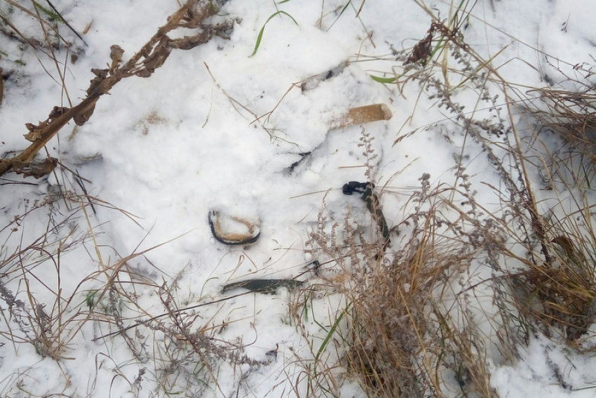 В Воронежском заповеднике браконьер на глазах у инспекторов расставлял ловушки для лисиц