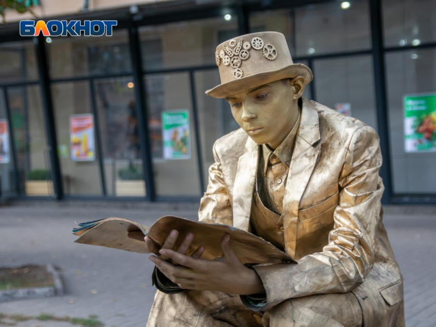 Власти поздравили воронежских работников культуры с профессиональным праздником