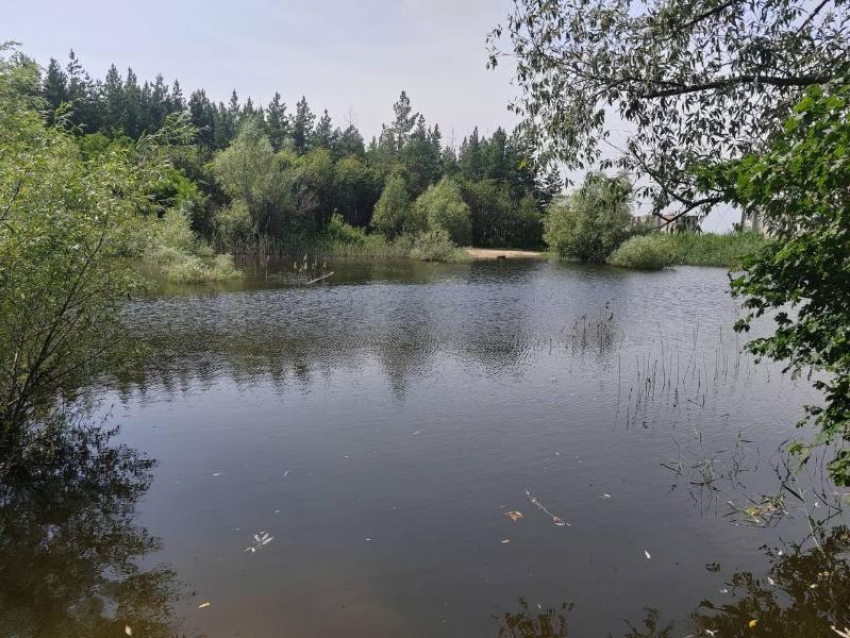 Труп мужчины нашли в воронежском пруду