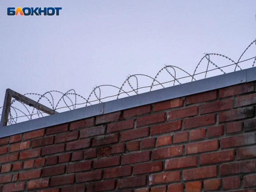 Женщину отправили в колонию за годовое избиение приёмных малышек под Воронежем 