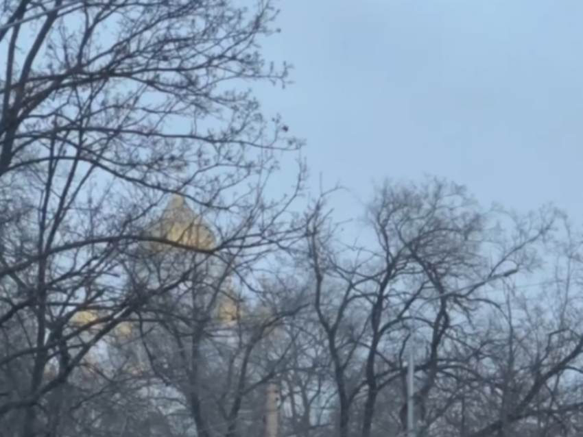 В Воронеж пришел первый снегопад