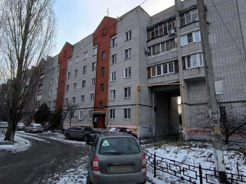 «Ферма» по разведению блох и комаров появилась в воронежской многоэтажке 